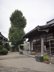20101003(1)第五回蓮門会1
