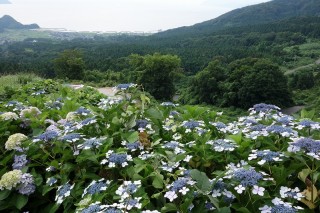 20130628(16)五位組念仏奉仕団！16