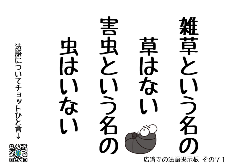法語掲示板 その71