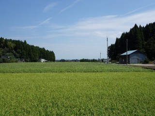 20130818(3)舞谷にて子ども大会！3